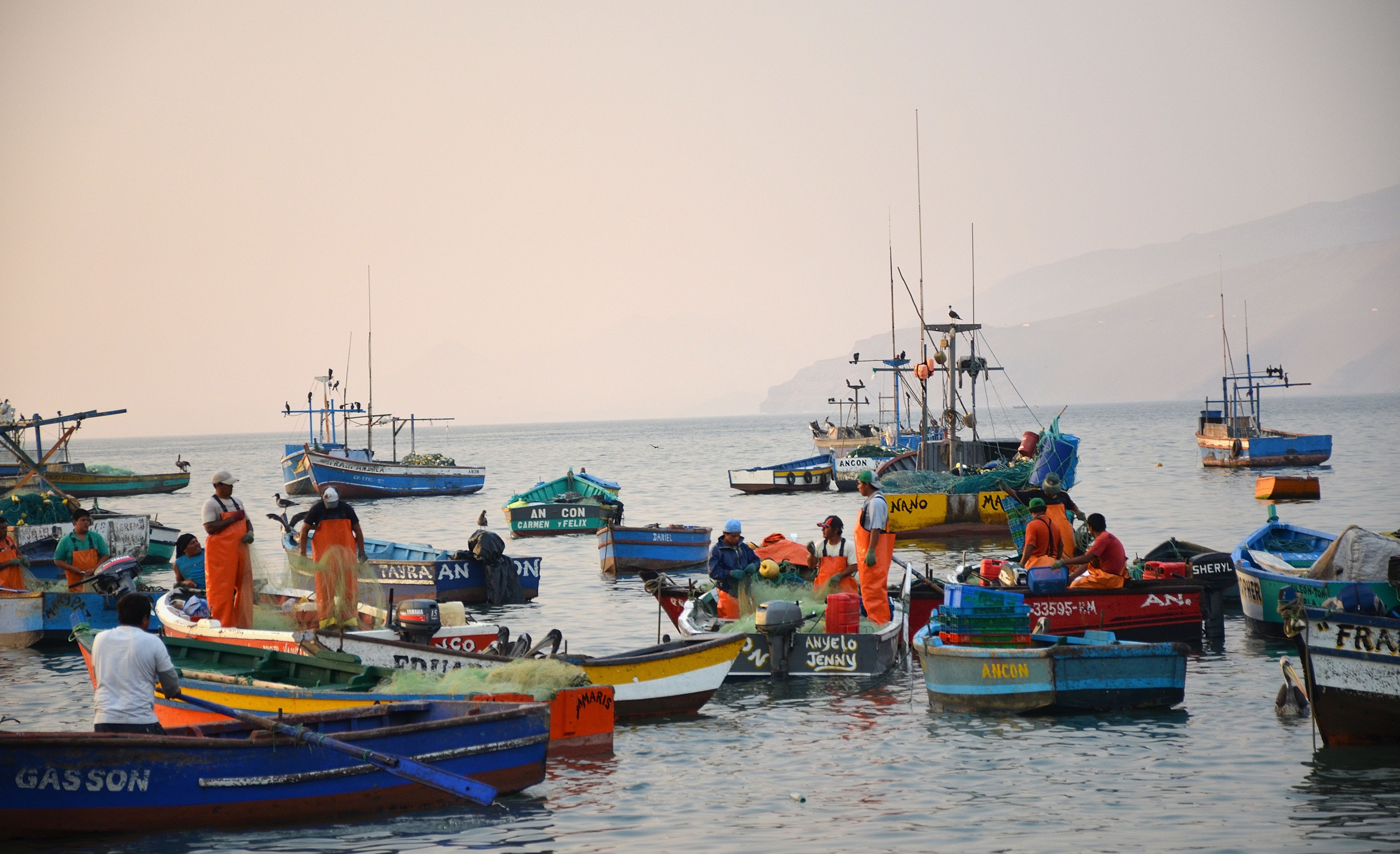 Several small fishing boats with fishers crowded in the water.