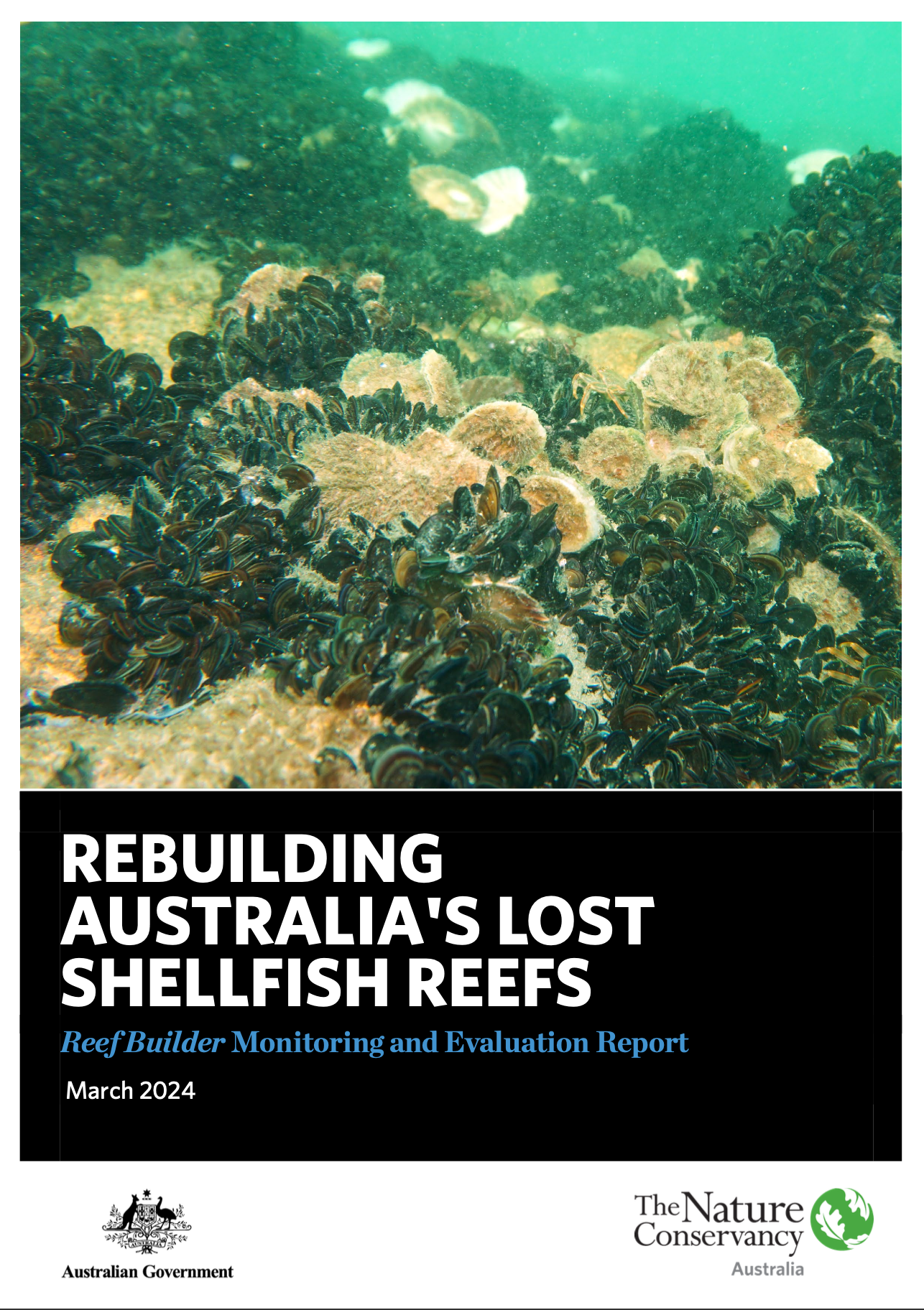2024 Reef Builder Monitoring and Evaluation Report